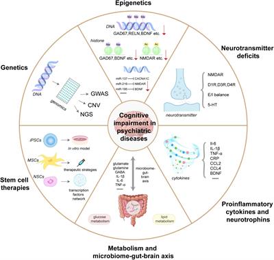 Cognitive impairment in psychiatric diseases: Biomarkers of diagnosis, treatment, and prevention